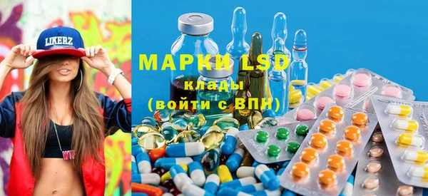 гидра Грязи