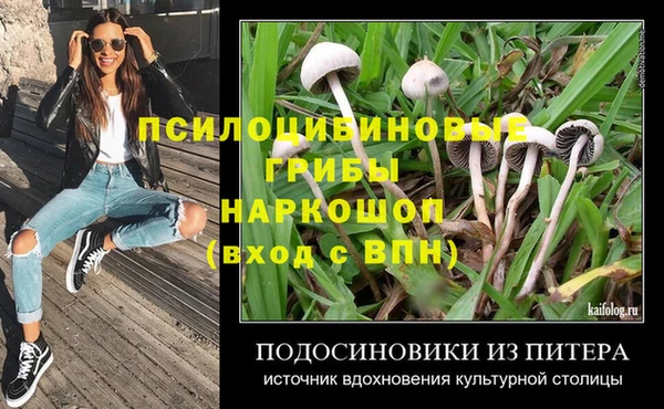 мдма Приозерск
