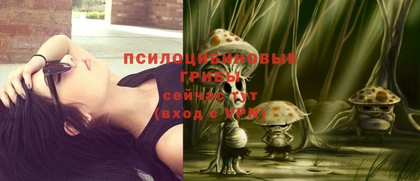 героин Грязовец