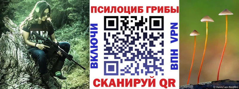 Галлюциногенные грибы мицелий Новосибирск