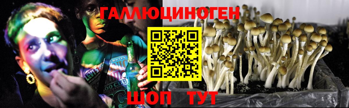 ТГК Новосибирск