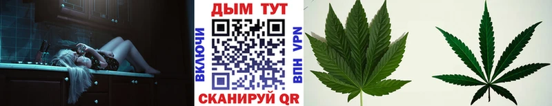 Шишки марихуана Bruce Banner  где продают   Новосибирск 